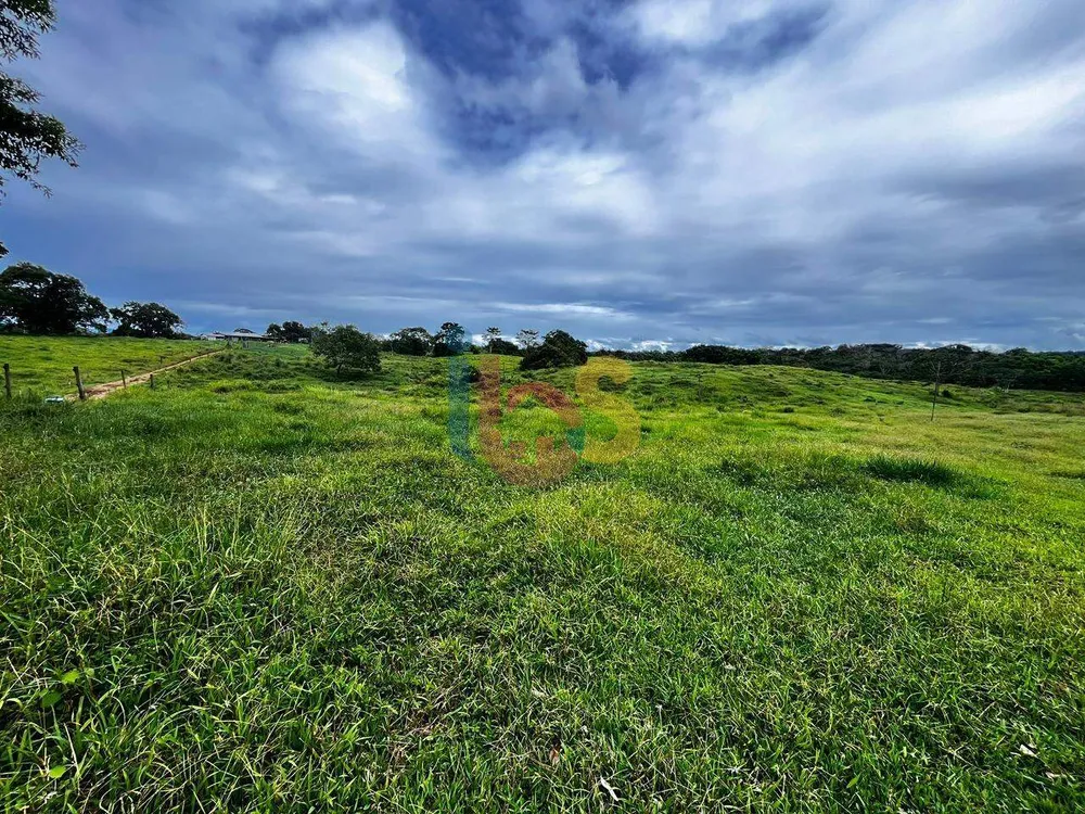 Fazenda - Foto 10