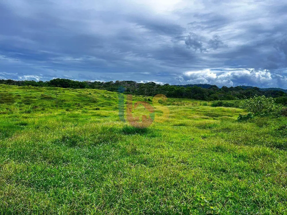 Fazenda - Foto 8