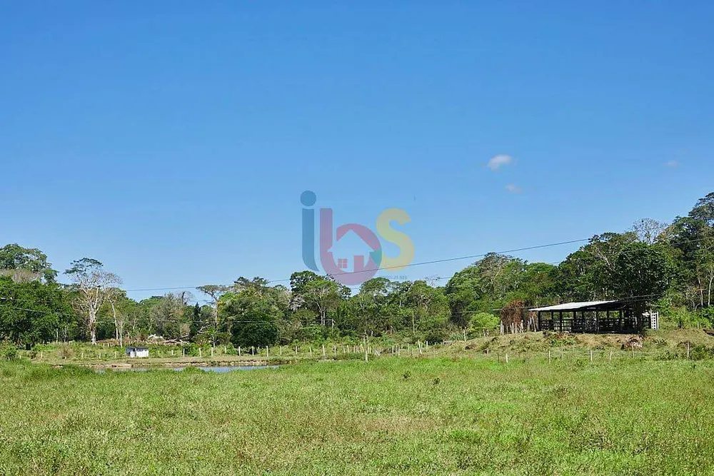 Fazenda - Foto 25