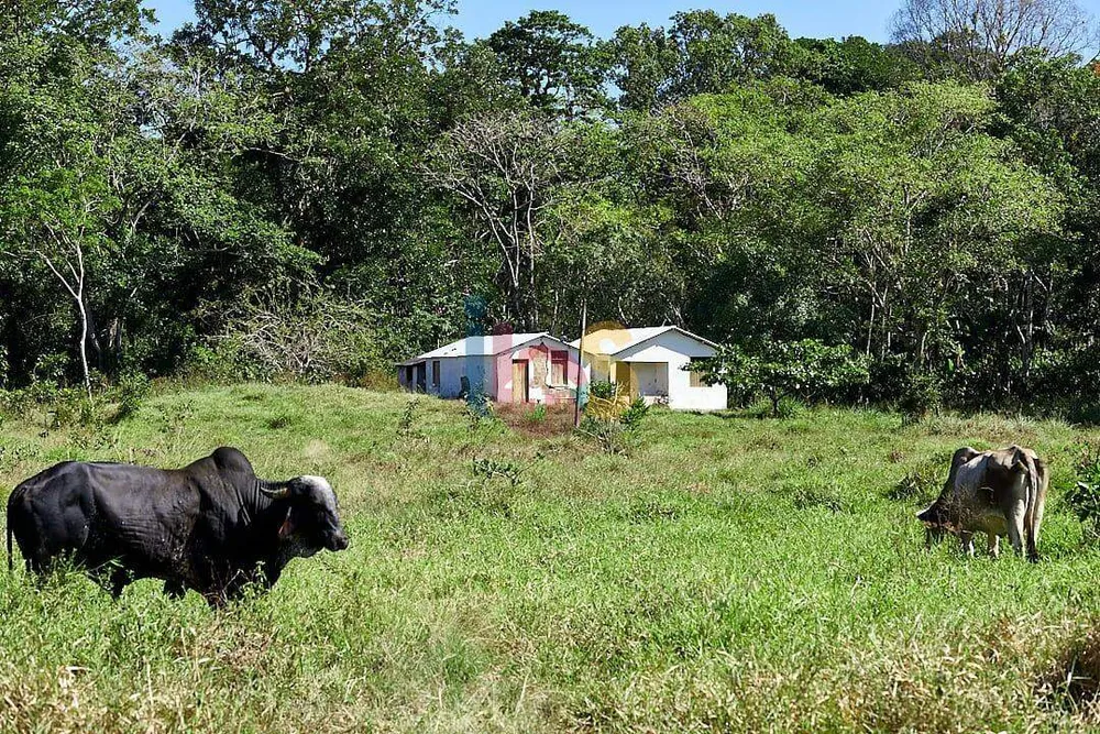 Fazenda - Foto 28
