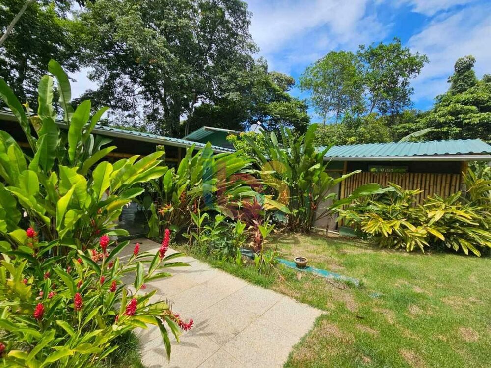 Sítio à venda com 3 quartos, 220m² - Foto 17