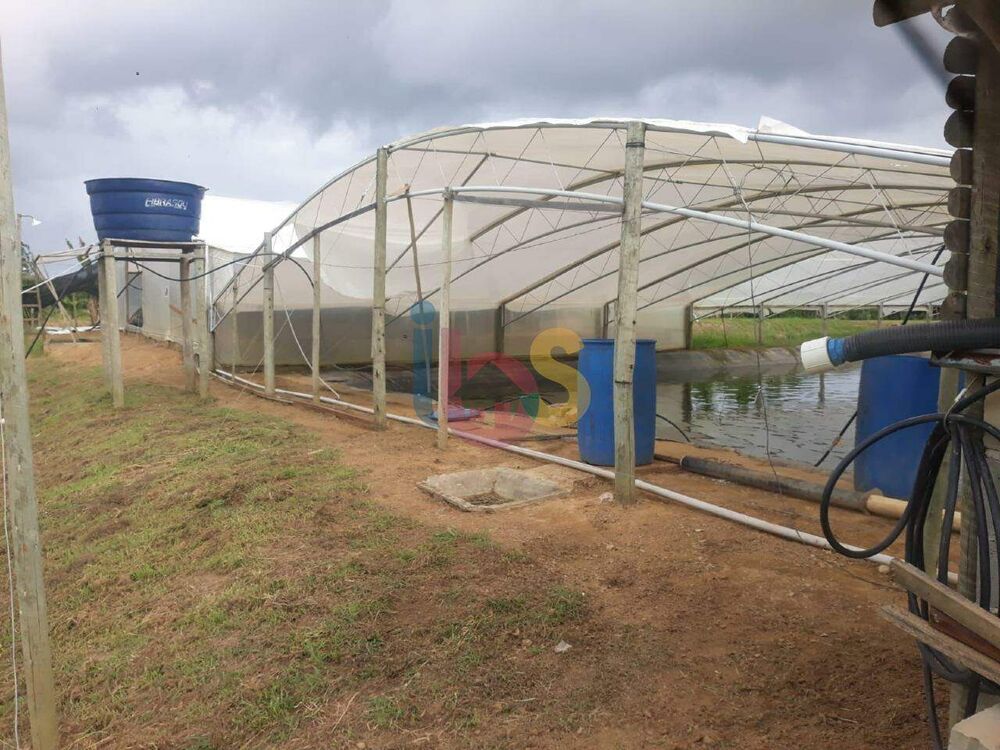 Fazenda à venda com 1 quarto - Foto 3