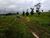 Fazenda, 117 m² - Foto 3