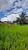 Terreno, 900 m² - Foto 4