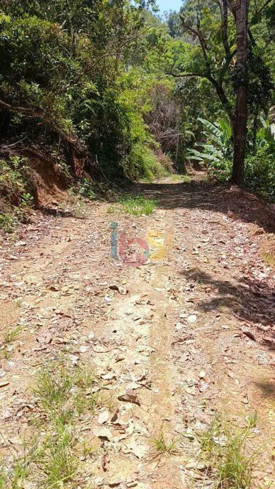 Terreno, 13 hectares - Foto 3