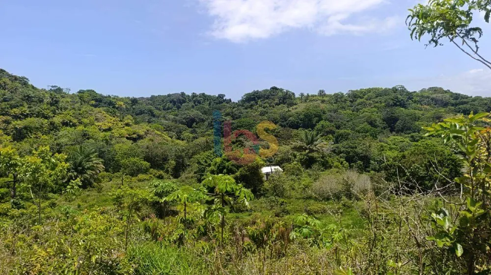Terreno, 13 hectares - Foto 6