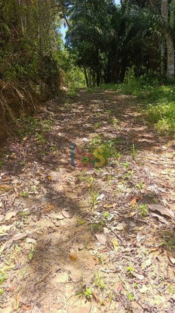 Terreno, 13 hectares - Foto 2