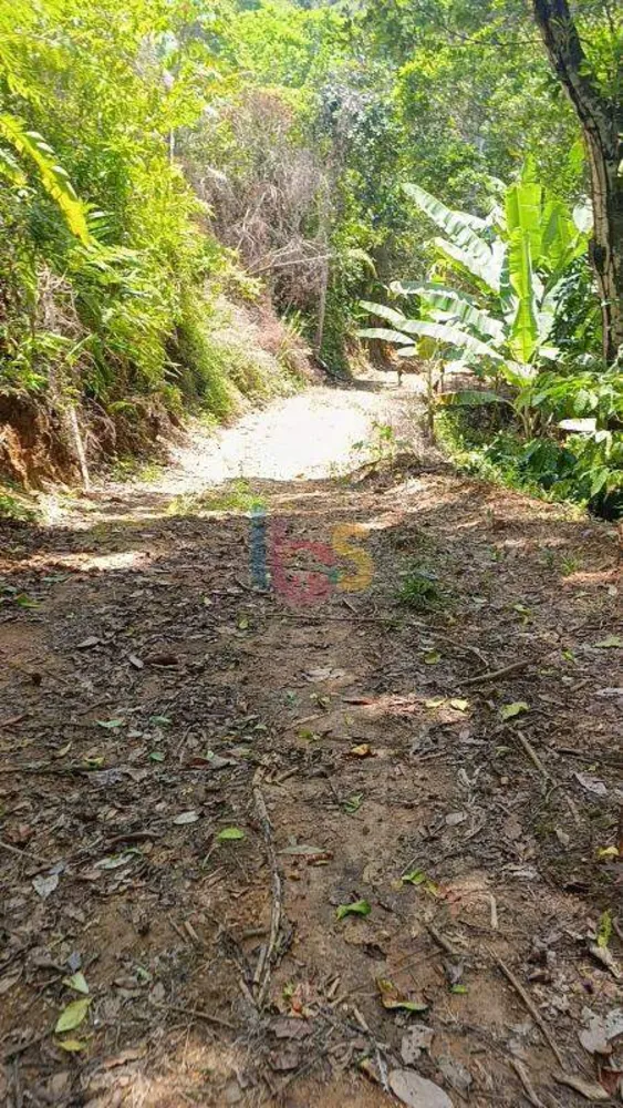 Terreno, 13 hectares - Foto 4