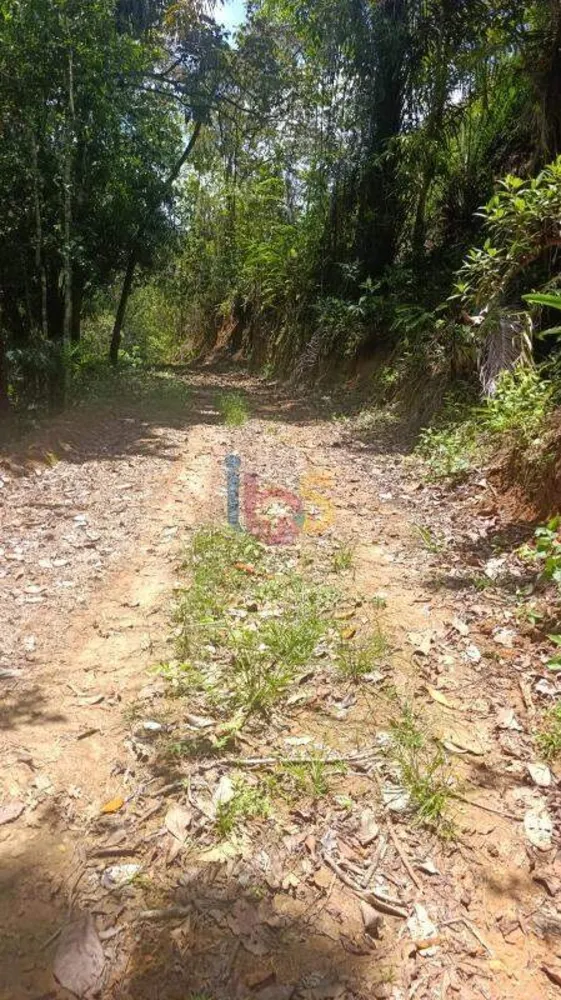 Terreno, 13 hectares - Foto 1