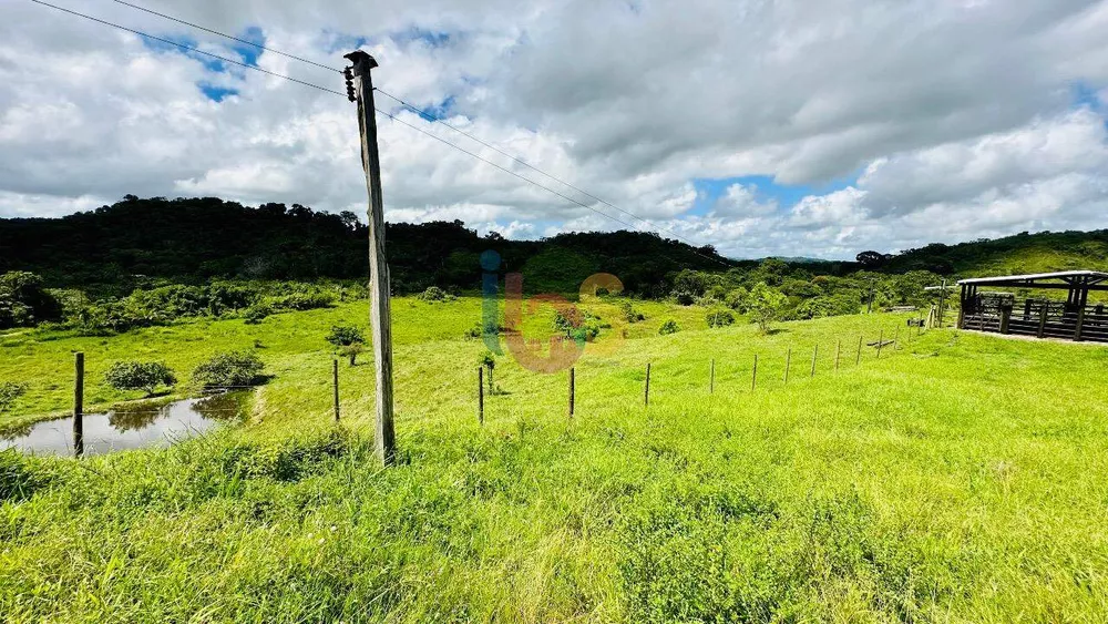 Fazenda à venda com 3 quartos - Foto 7