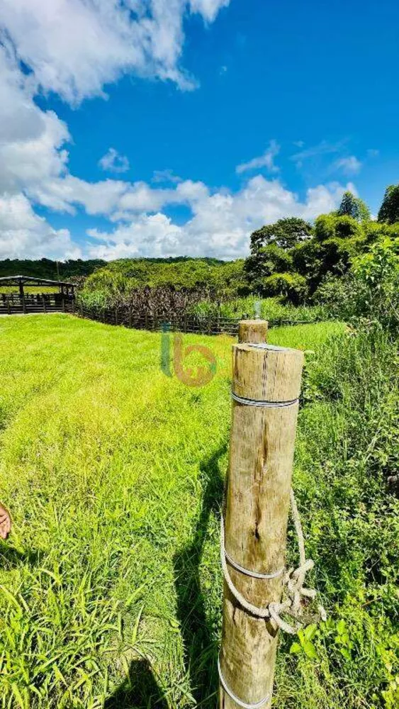 Fazenda à venda com 3 quartos - Foto 4