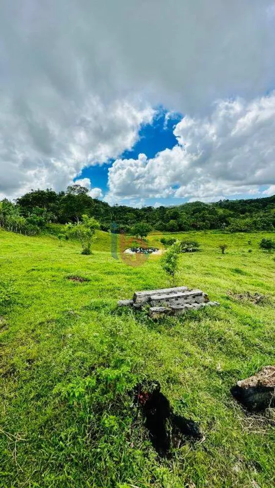 Fazenda à venda com 3 quartos - Foto 10