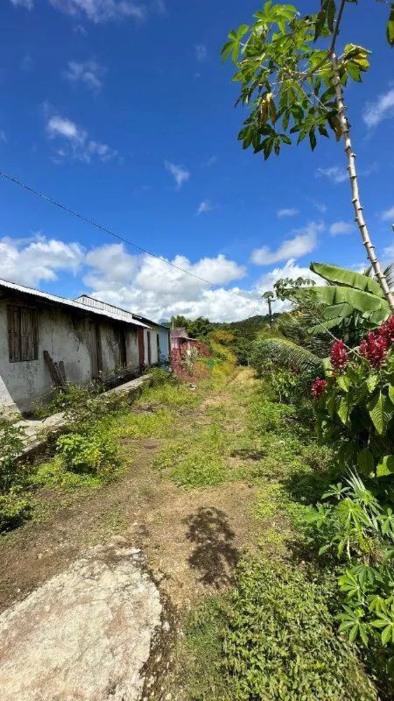 Fazenda à venda com 3 quartos - Foto 9