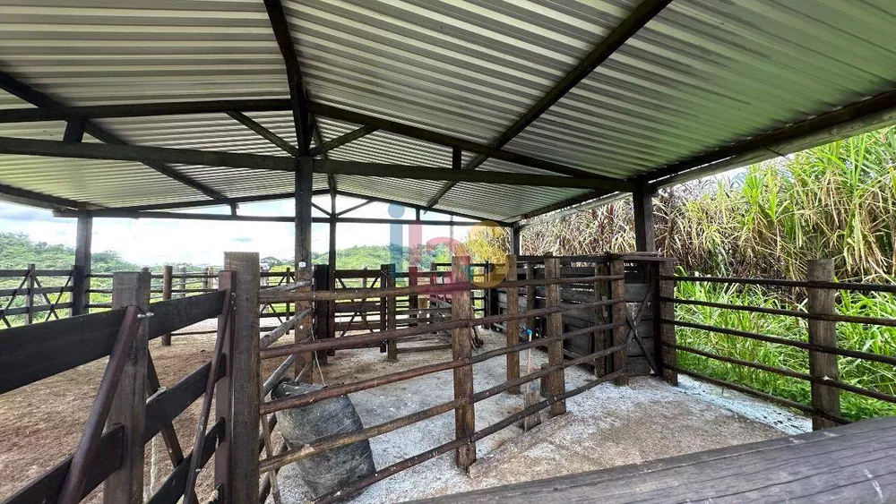 Fazenda à venda com 3 quartos - Foto 8