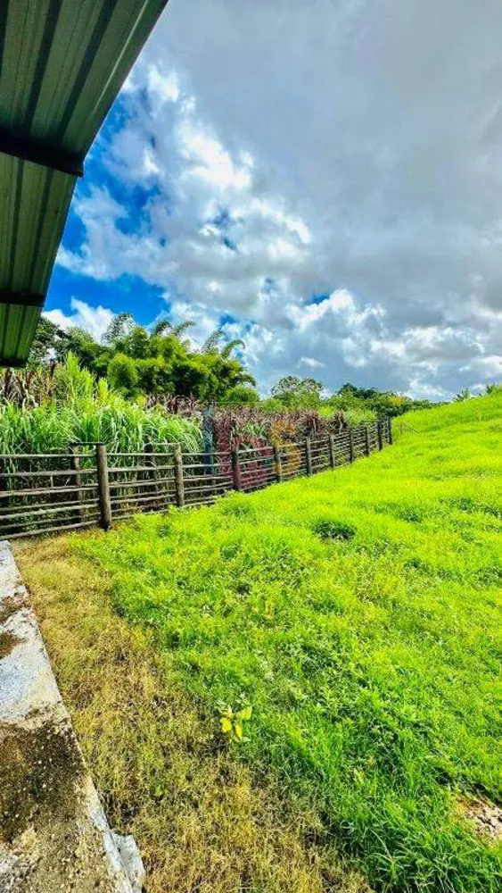 Fazenda à venda com 3 quartos - Foto 12