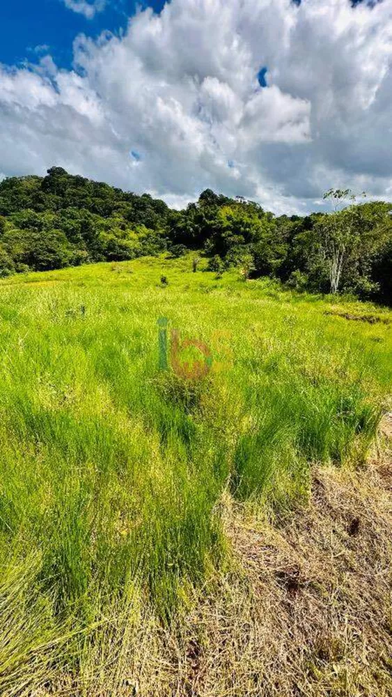 Fazenda à venda com 3 quartos - Foto 3