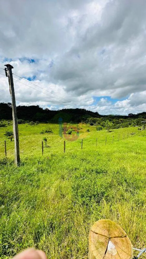 Fazenda à venda com 3 quartos - Foto 6