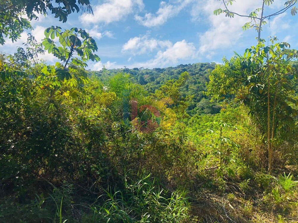Sítio à venda - Foto 4