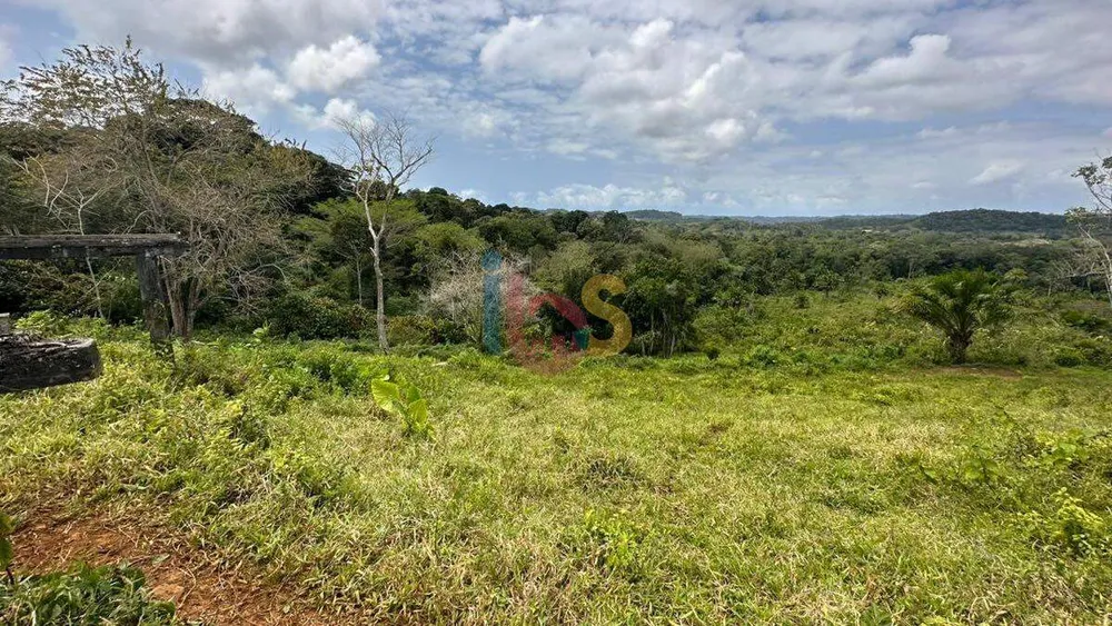 Terreno, 12 hectares - Foto 14