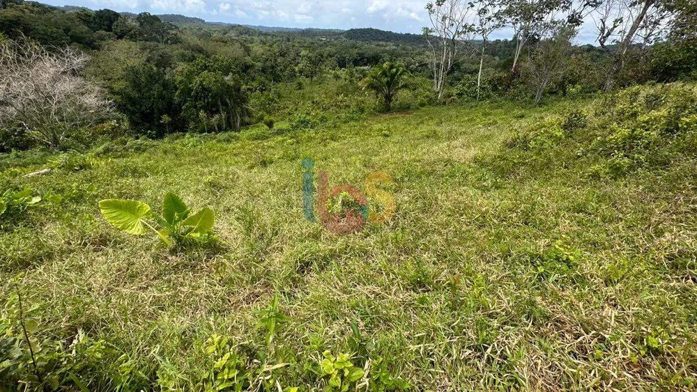Terreno, 12 hectares - Foto 15