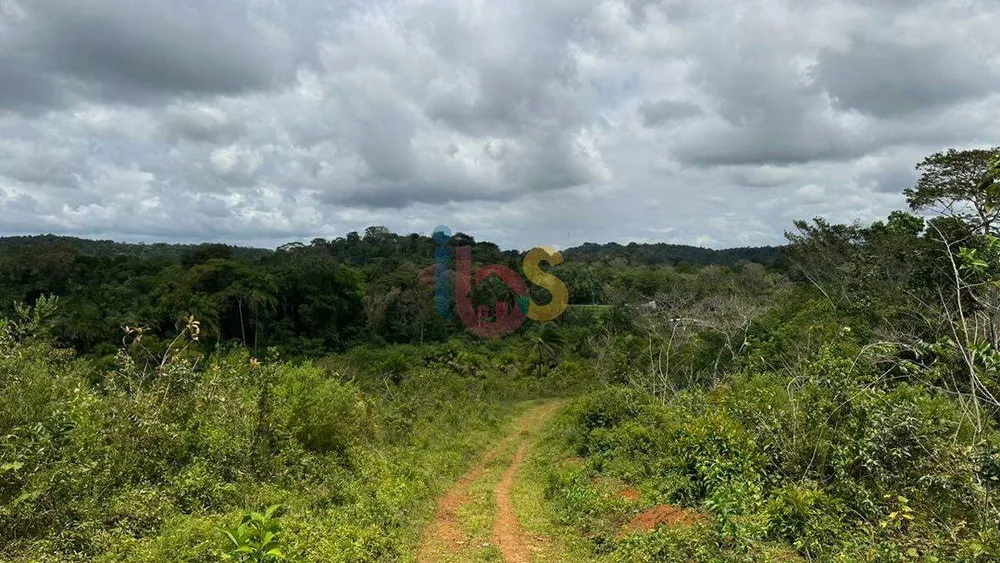 Terreno, 12 hectares - Foto 13