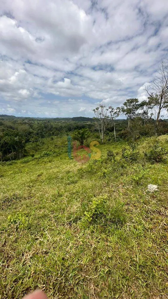 Terreno, 12 hectares - Foto 18