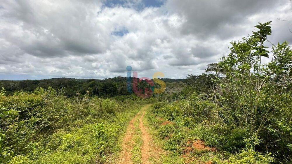 Terreno à venda com 1 quarto, 117000m² - Foto 12