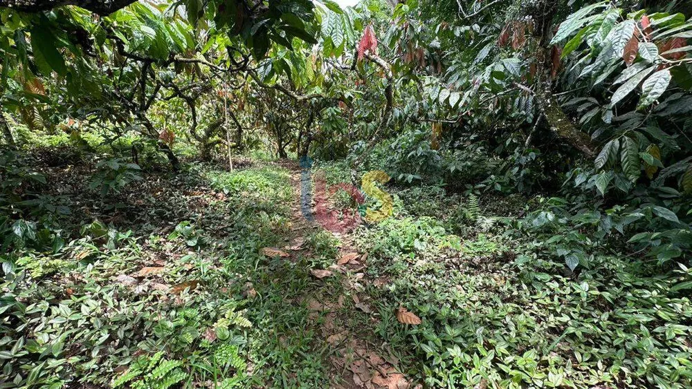 Terreno, 12 hectares - Foto 19