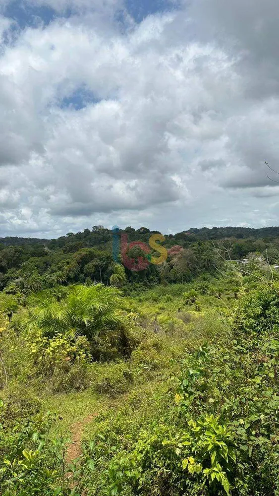 Terreno, 12 hectares - Foto 15