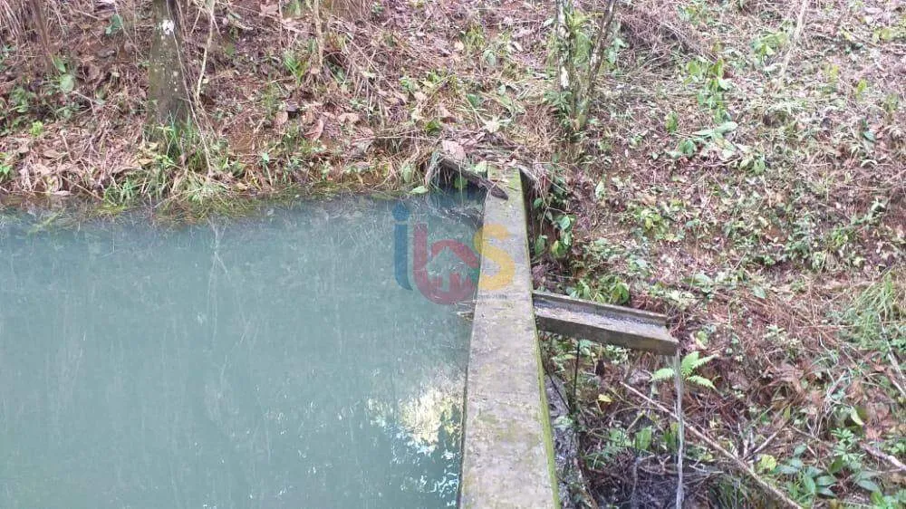 Terreno, 2 hectares - Foto 4