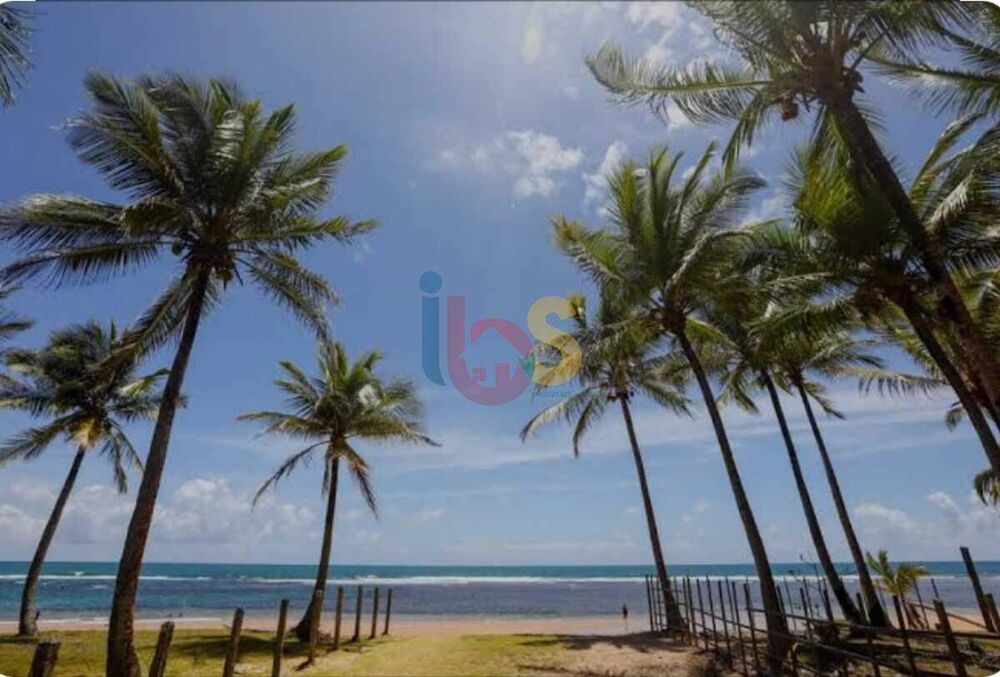 Terreno, 60 hectares - Foto 5