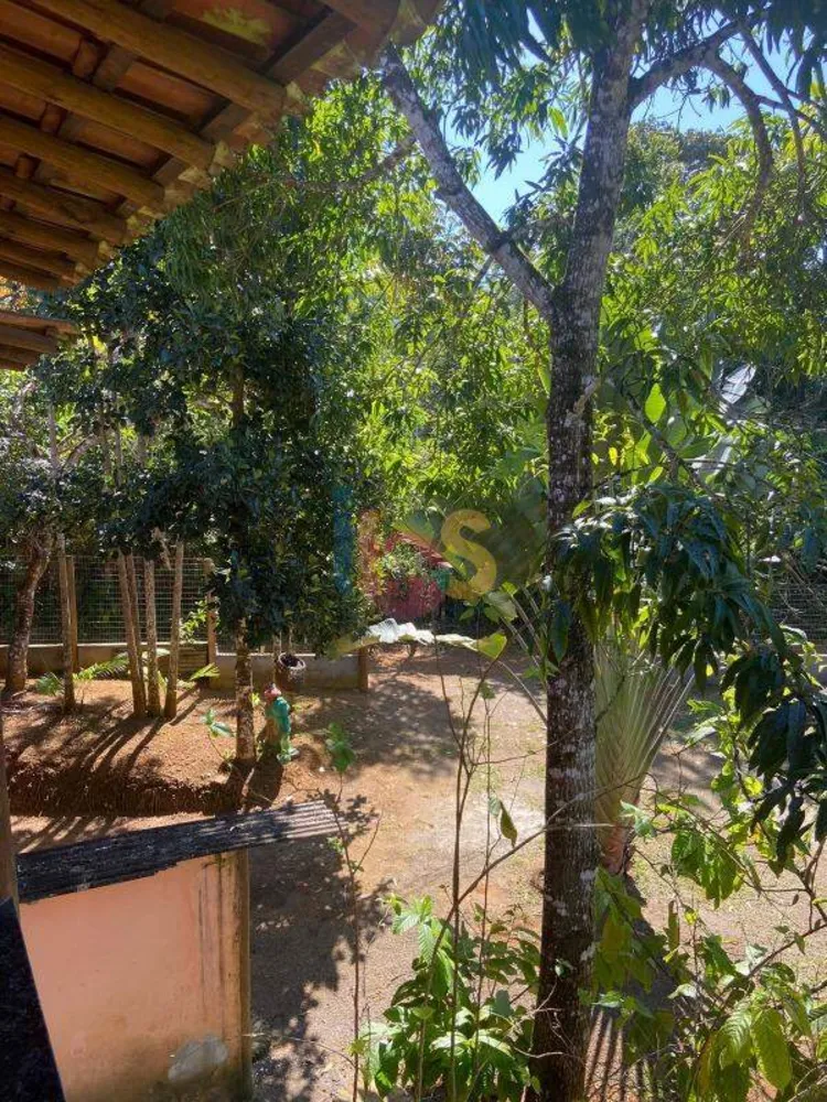 Sítio, 3 quartos, 2000 m² - Foto 2