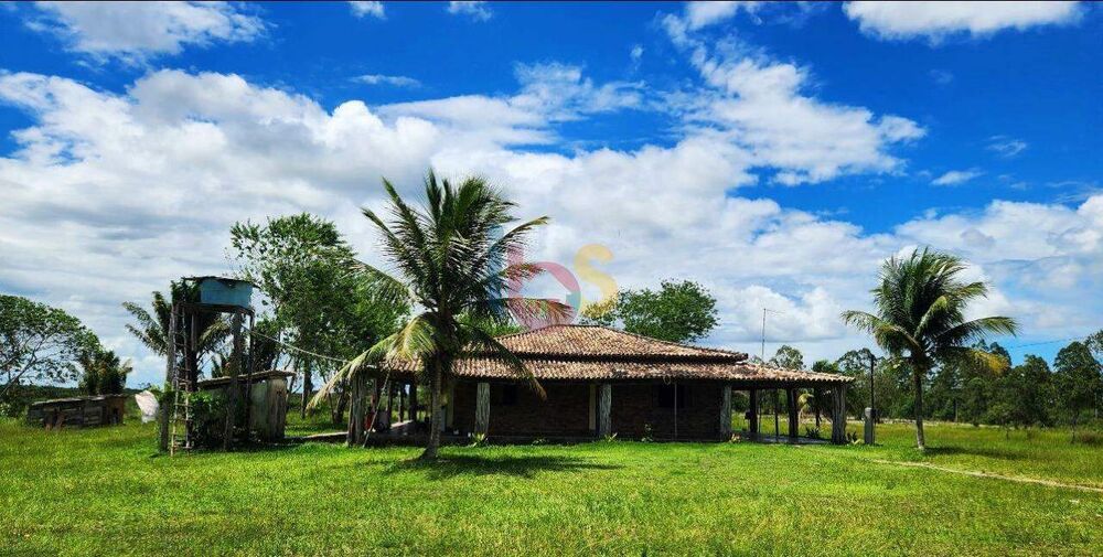 Sítio - Foto 1