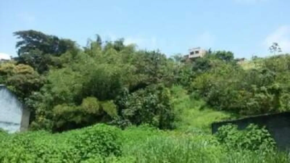 Terreno, 2283 m² - Foto 5