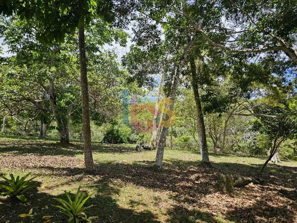Terreno, 5000 m² - Foto 7