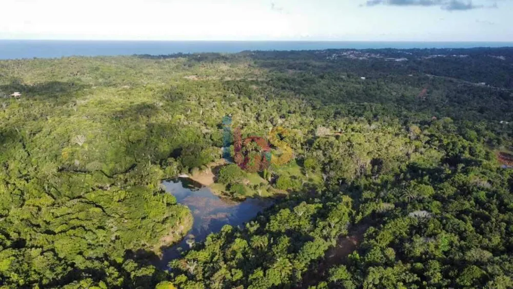 Terreno, 5000 m² - Foto 4