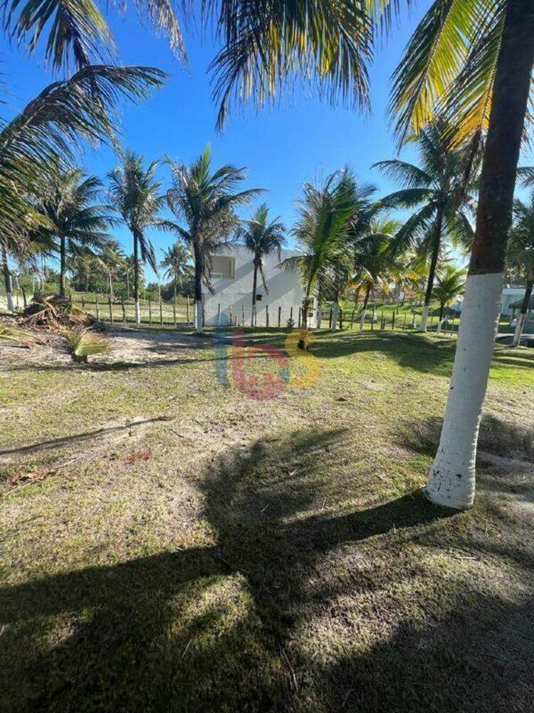 Sítio, 4 quartos, 120 m² - Foto 4