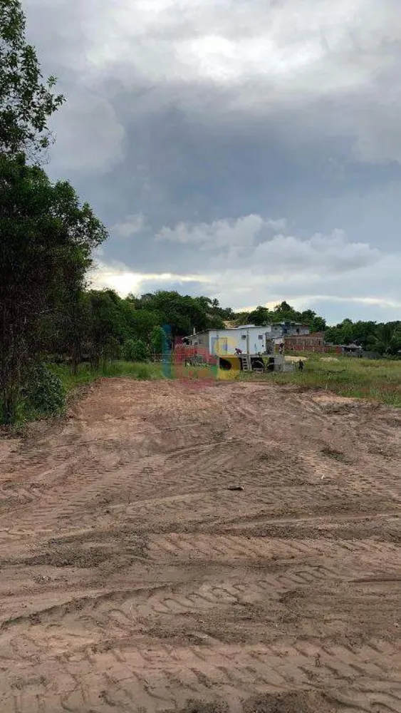 Terreno, 300 m² - Foto 4