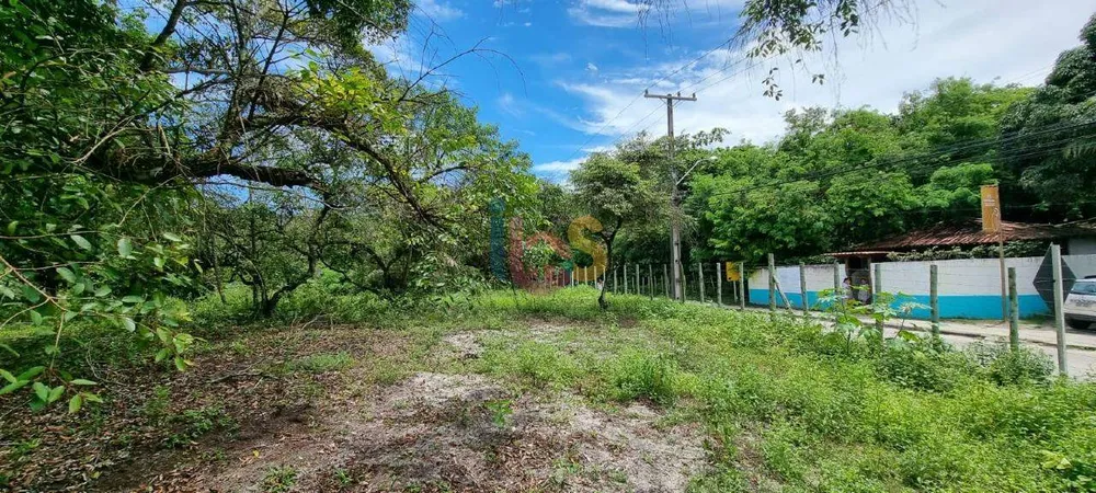 Terreno, 2 hectares - Foto 7