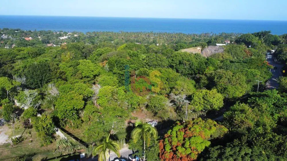 Terreno, 2 hectares - Foto 4