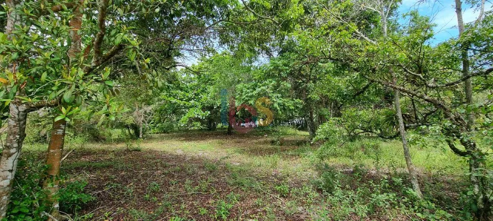 Terreno, 2 hectares - Foto 8