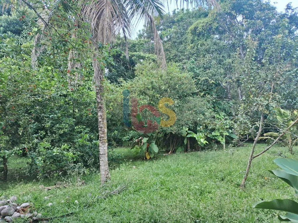 Terreno, 1250 m² - Foto 5