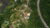 Terreno, 761 m² - Foto 4