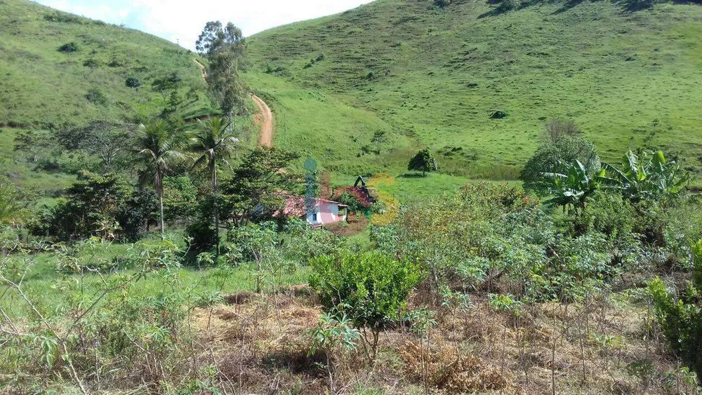 Fazenda, 159 hectares - Foto 6