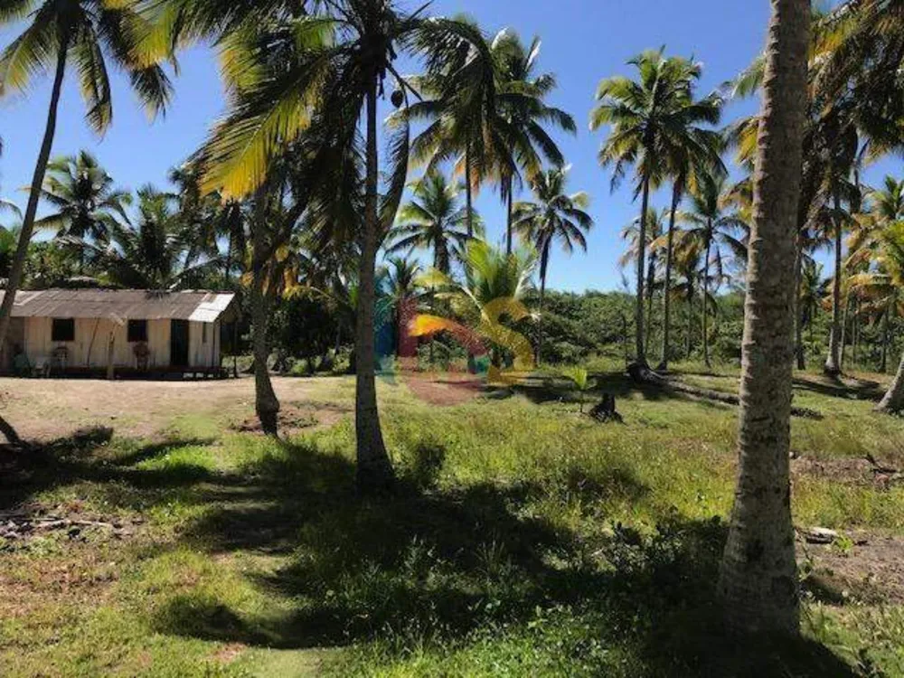 Sítio, 1 quarto, 9872 m² - Foto 13
