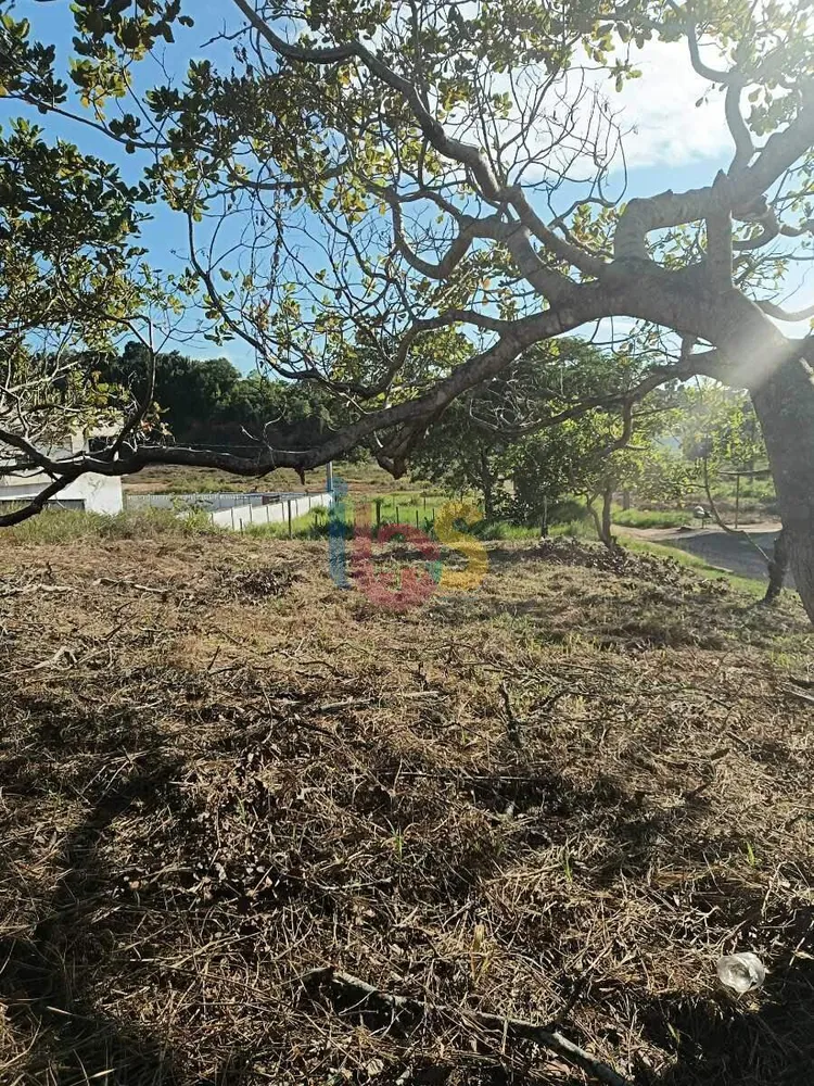 Terreno, 328 m² - Foto 5