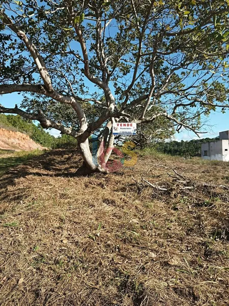 Terreno, 328 m² - Foto 3