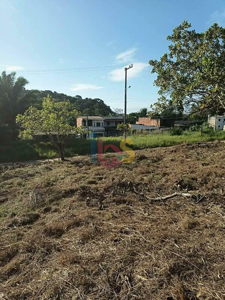 Terreno, 328 m² - Foto 7
