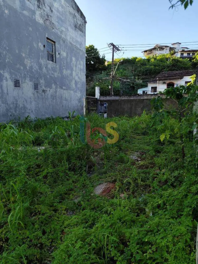 Terreno, 245 m² - Foto 4