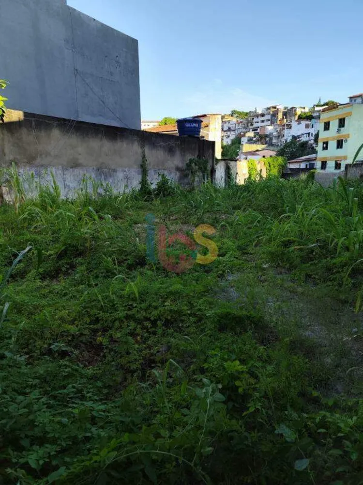 Terreno, 245 m² - Foto 2